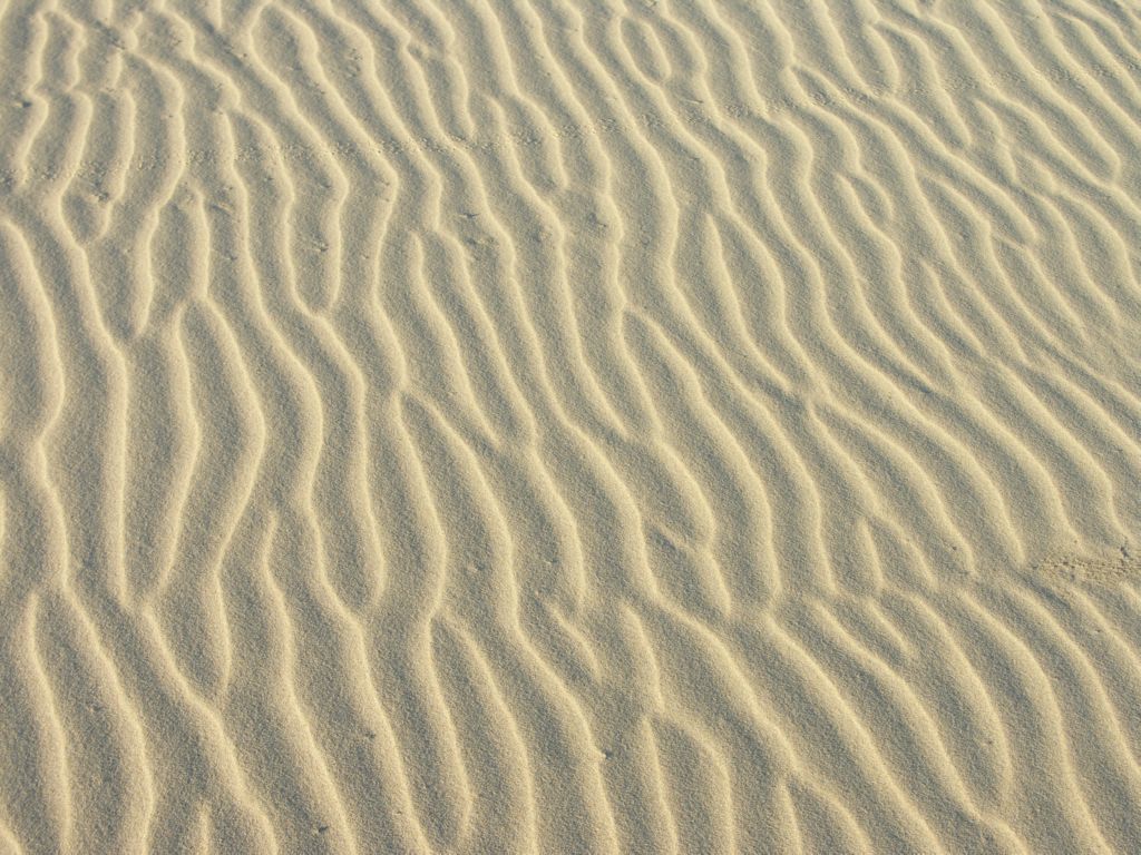 namib desert